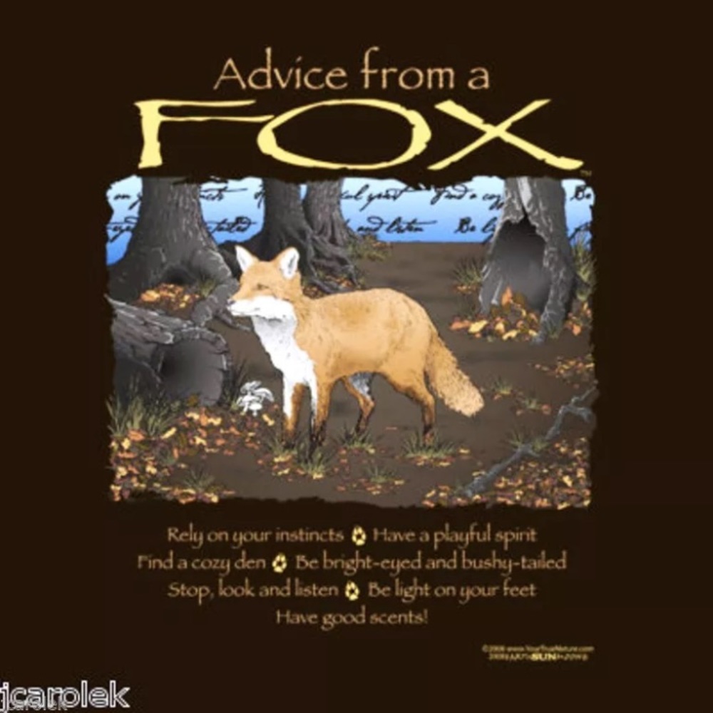 T-shirt ADVICE FROM A FOX Unisex Sizes